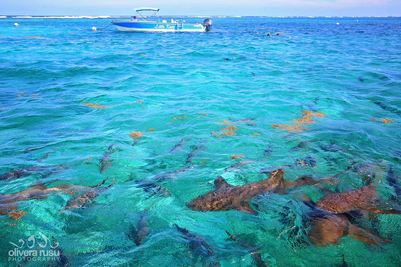 Cayo Espanto San Pedro  Luaran gambar