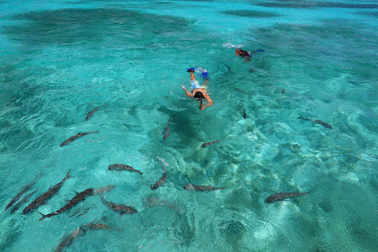 Cayo Espanto San Pedro  Luaran gambar